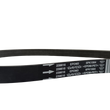 Maserati CINGHIA TIPO "DAYCO PV-K" A OEM 239616