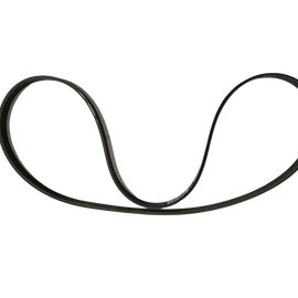 Maserati CINGHIA TIPO "DAYCO PV-K" A OEM 239616