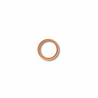 Aston Martin Set 10 rondelle tappo coppa olio 698880-PK